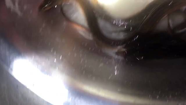 夜晚出去抓鳝鱼，意料之外的家伙