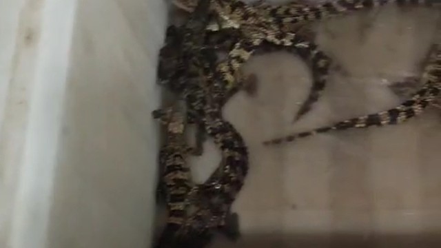 我发布了一个新视频，快来围观吧！