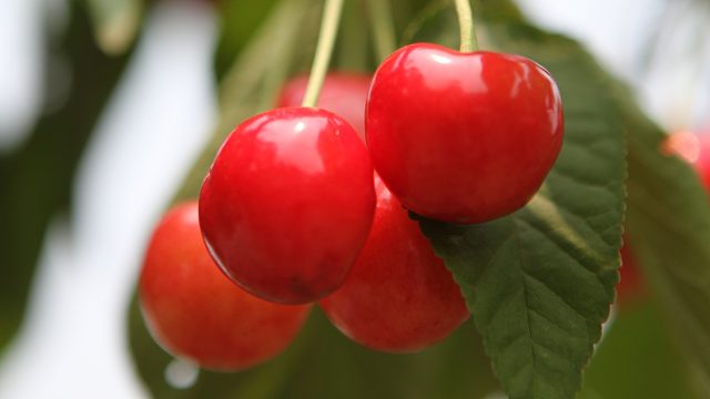 感谢月中眠老板的660枚魔法引擎哇吼吼吼看仔起飞