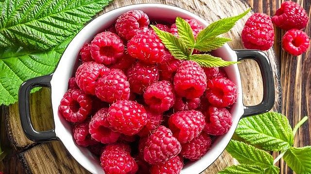 感谢朴老板的玉龙灵狐外加爱的王冠吼哎嘿嘿看仔戴的正不正无敌的一天