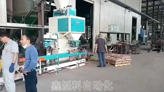 自动包装机 立柱码垛机生产线#包装码垛#码垛生产线