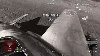 bug