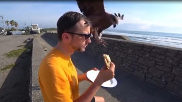 行走江湖讲究的就是一个快字