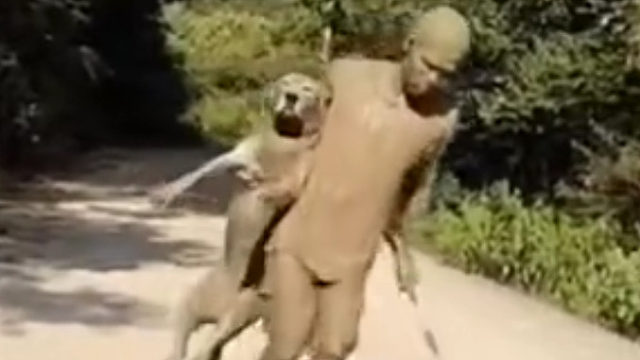 人和狗都不能要了