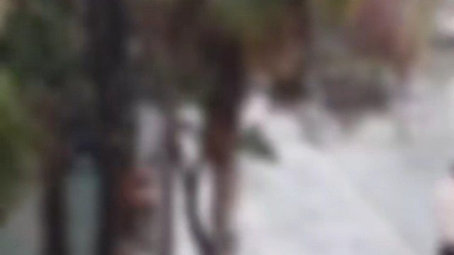 跑与不跑衣服都是要湿的还不如慢慢走结局已定过程无意