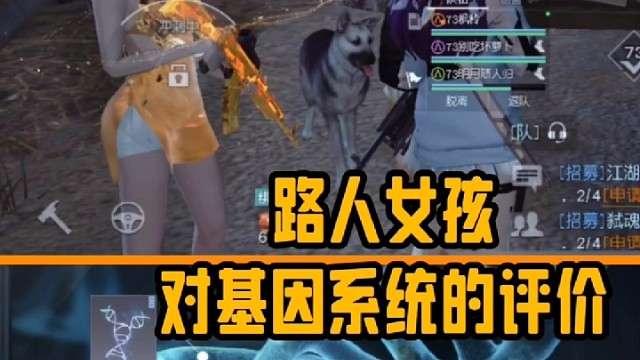 路人女孩对基因系统的评价