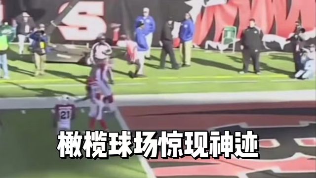 橄榄球场惊现神迹