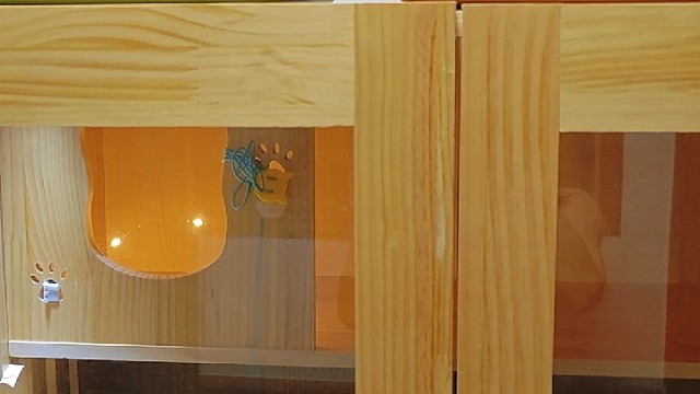 治愈一刻
​儿女双全啦