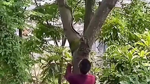 我还以为他有两招