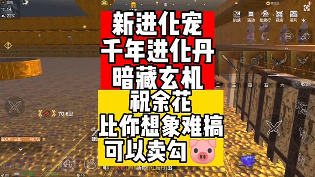 新宠物千年进化丹暗藏玄机