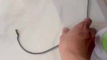为啥我发现这狗子好像每次都很享受挨揍