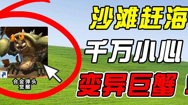 沙滩赶海，收获巨大蟹王！