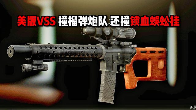 美版VSS 撞榴弹炮队 还遇到锁血蜈蚣挂！ 逃离塔科夫