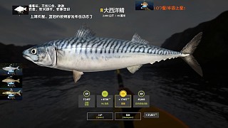 34圖挪威海–星大西洋鯖（108星）