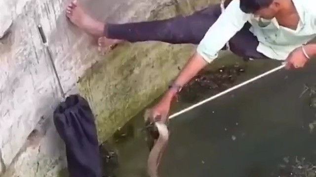 原来不停抖运可以破解牠的攻击，下次试试