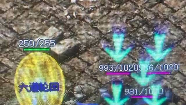 这运气，还可以