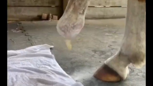 动物和人都是一样