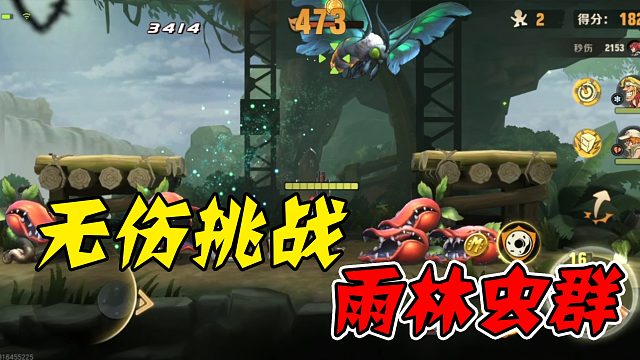 热带雨林有虫群？泰库拉！