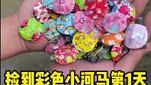 捡到彩色小河马第一天