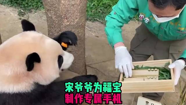 宋爷爷为福宝制作专属手机