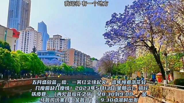 五月的蓝楹花与三角梅，五月的蓝楹花与三角梅