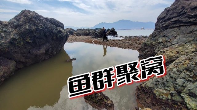 阿峰运气太好了，每次当主角都能抓到又大又值钱的海货，羡煞旁人