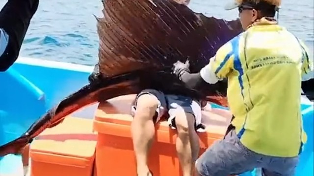 好怕会突然给他来一下