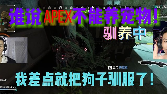 谁说apex不能养宠物！我差点就把狗子驯服了！