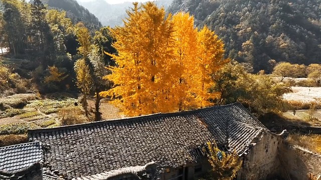 志同道合的一群人