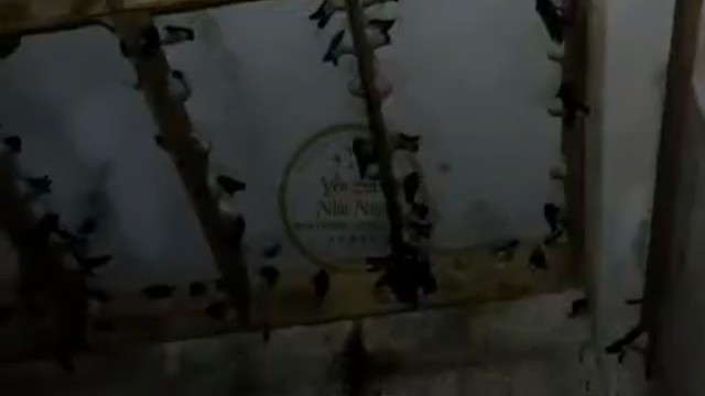 我发布了一个新视频，快来围观吧！