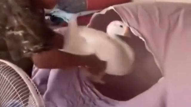 闺女放假回家赖床老爹有妙招