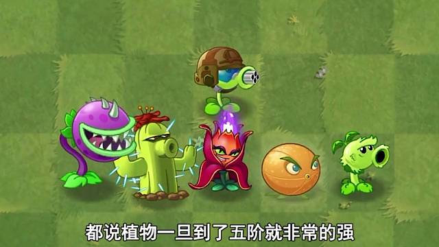 如何击败一百只近卫巨人僵尸