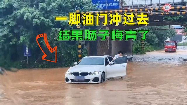 下暴雨路被淹了，新手司机一脚油门冲过去，结果肠子都悔青了