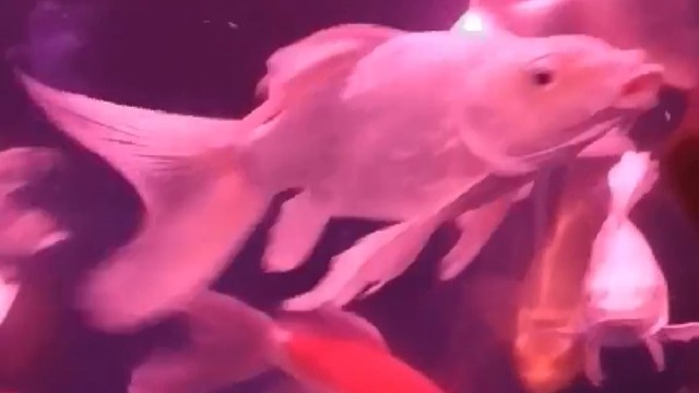 为生活添一点色彩