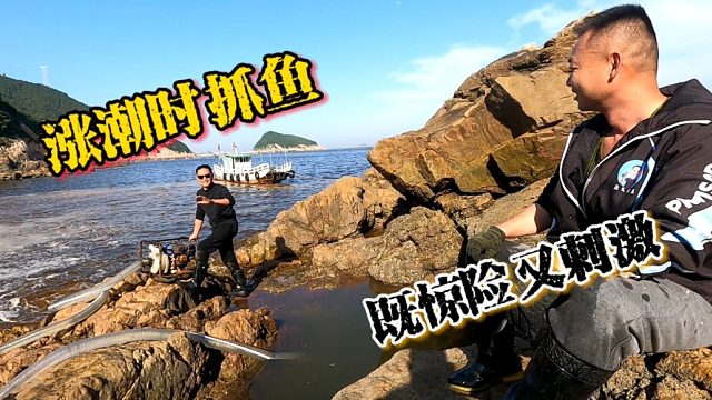 涨潮时抓鱼既惊险又刺激，这样抓鱼也是拼了，兄弟俩抓得忙不过来