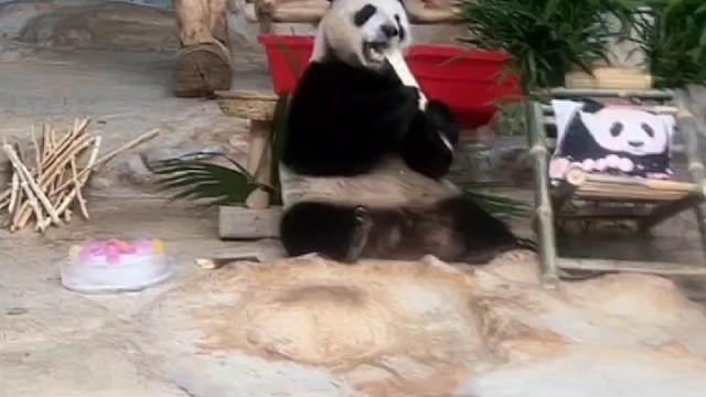 舜仔宝贝的母亲节