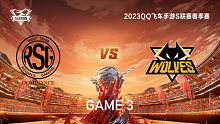 RSG vs 狼队_3_QQ飞车手游S联赛春季赛