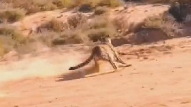 说了要点刹，点刹，轮胎都冒烟了