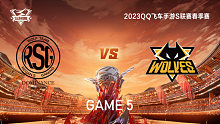 RSG vs 狼队_5_QQ飞车手游S联赛春季赛