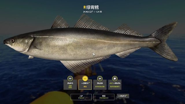 挪威海。星绿青鳕