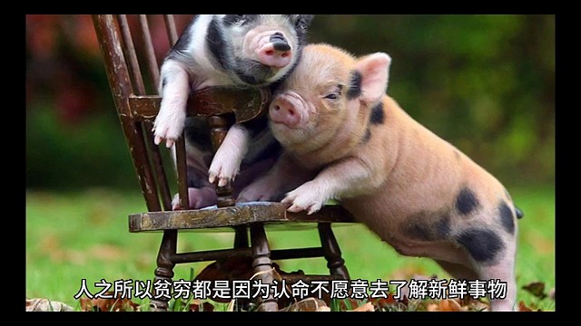 看完你就知道，你为什么穷