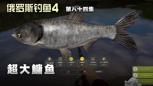 俄罗斯钓鱼4第八十四集：超大鳙鱼