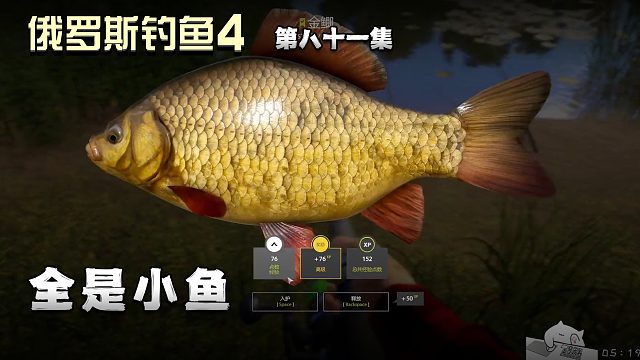 俄罗斯钓鱼4第八十一集：全是小鱼