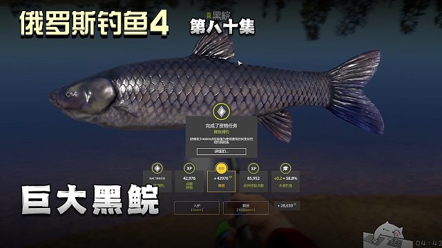 俄罗斯钓鱼4第八十集：巨大黑鲩