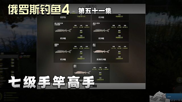 俄罗斯钓鱼4第五十一集：七级手竿高手
