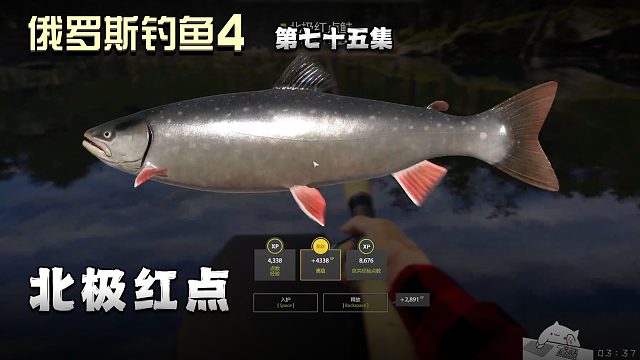 俄罗斯钓鱼4第七十五集：北极红点