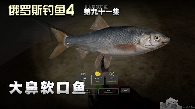 俄罗斯钓鱼4第九十一集：大鼻软口鱼