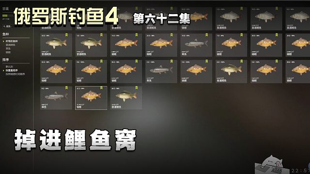 俄罗斯钓鱼4第六十二集：掉进鲤鱼窝