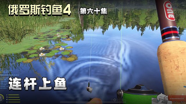 俄罗斯钓鱼4第六十集：连杆上鱼