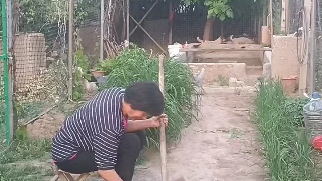 这才一对原价夫妻[捂脸]